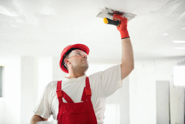 Best Drywall Installation  in Claymont, DE